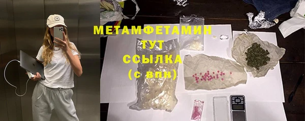 прущие грибы Коряжма