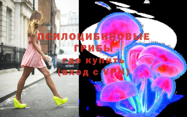 амф Кулебаки