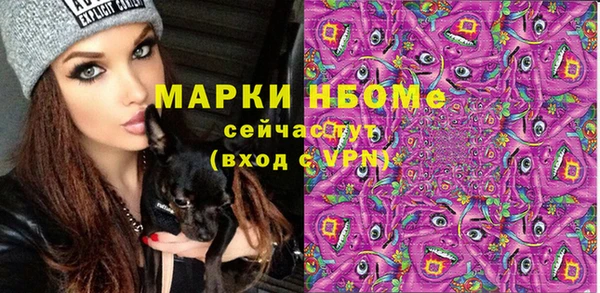 амф Кулебаки