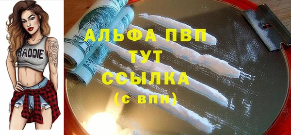 хмурый Корсаков