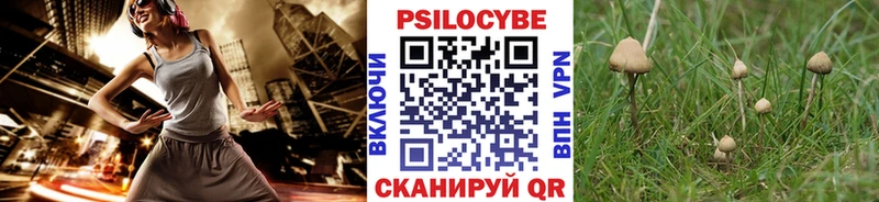 ОМГ ОМГ вход  Мещовск  Галлюциногенные грибы ЛСД 